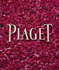 PIAGET Rose Day